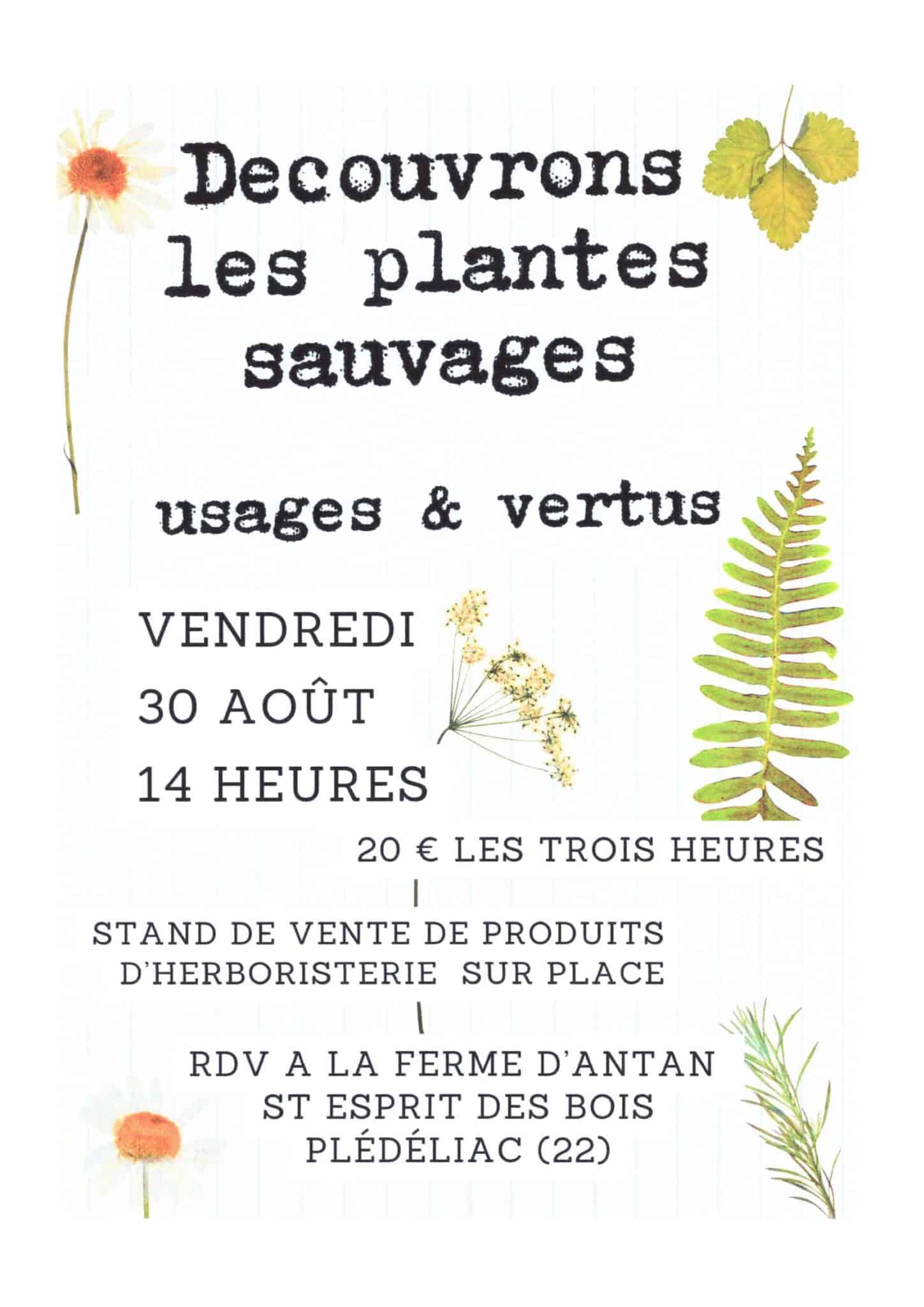 Balade botanique & Vente de produits d’herboristerie