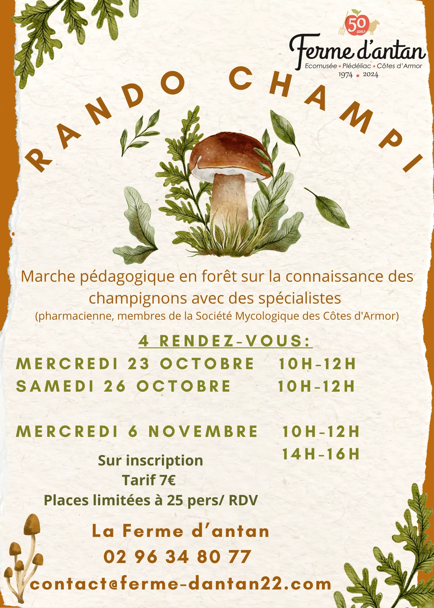 Les « Rando champi »