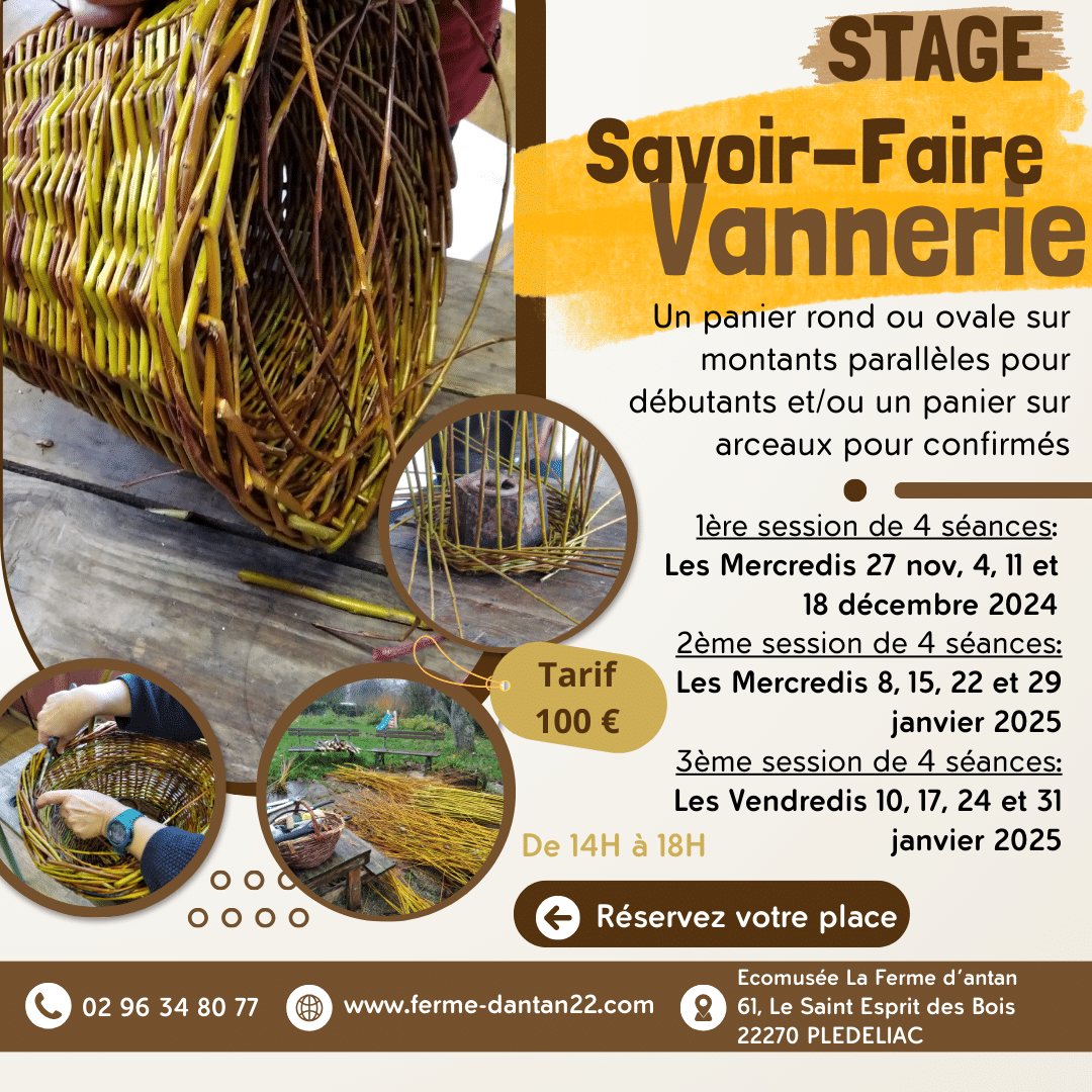 Stage Savoir-Faire Vannerie (3e session)