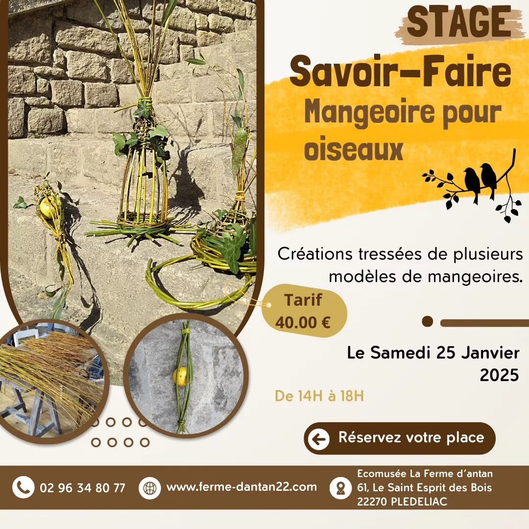 Stage Savoir-Faire Mangeoire pour oiseaux