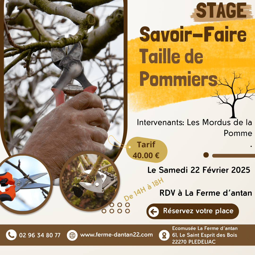 Stage Savoir-Faire Taille de Pommiers